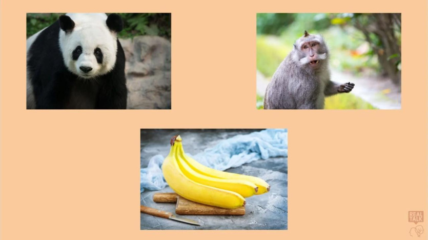 3232244481_vmbBHWq6_61f5f24ec12969831d9ffc09e5377b9315573217.jpg