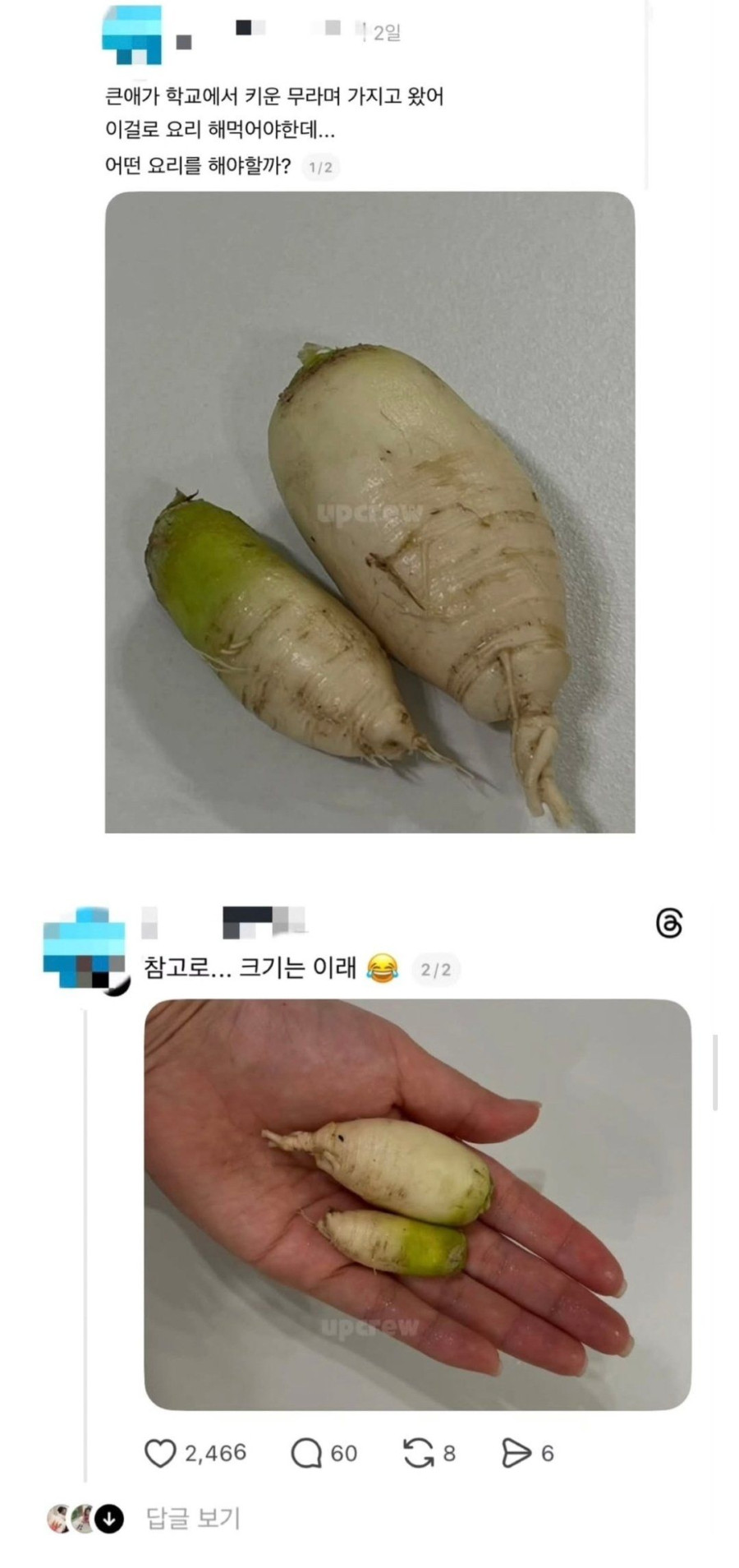 manipulate_img(this)